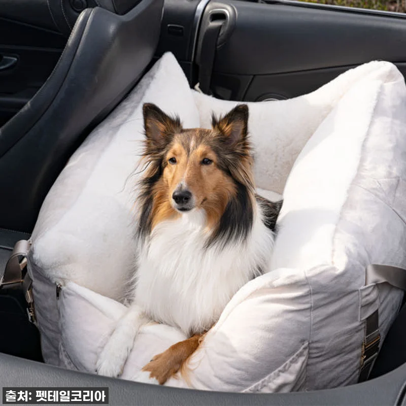 편안함과 안전을 동시에! 펫테일 셀러 관련 이미지 9