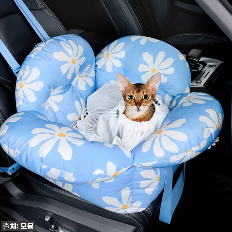 우리 강아지, 데이지 카시트 덕분에 관련 이미지 9