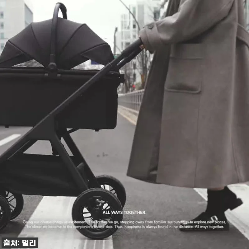 드디어 찾았다! 키 큰 견주도 허리 관련 이미지 10