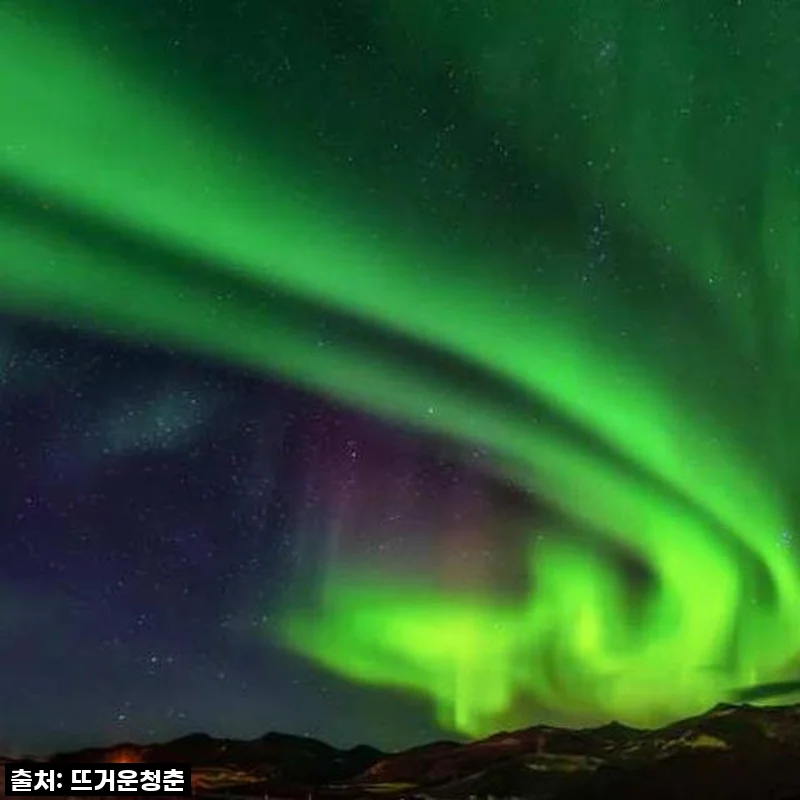 핀란드 3박 2일 허스키 사파리 & 킹크랩, 사리셀카! 꿈같은 겨울왕국 탐험 후기