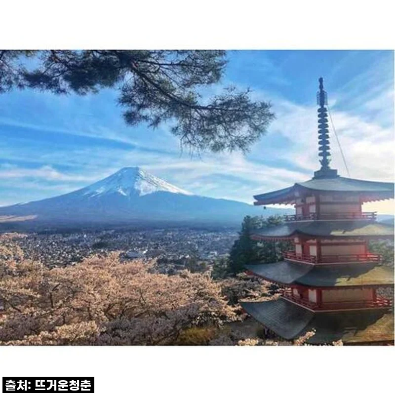 도쿄에서 후지산과 가와구치호로 떠난 나만의 꿈같은 여행, 후회 없는 선택이었어요!