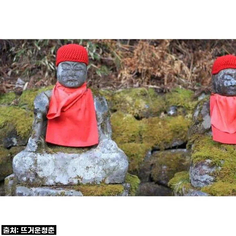 도쿄에서 떠나는 나만의 특별한 닛코 당일 여행, 프라이빗 투어로 잊지 못할 추억 만들기!