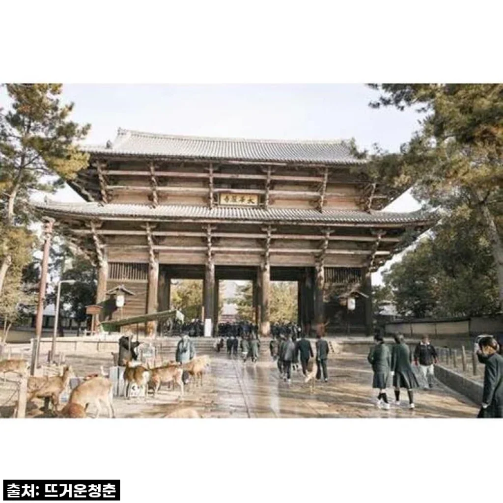 일본 현지인처럼 나라: 맞춤형 가이드 투어, 꼭 경험해야 하는 이유!