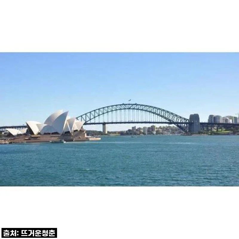 꿈같은 시드니를 나만의 방식으로! 호주 시드니 프라이빗 반나절 관광 투어 생생 후기