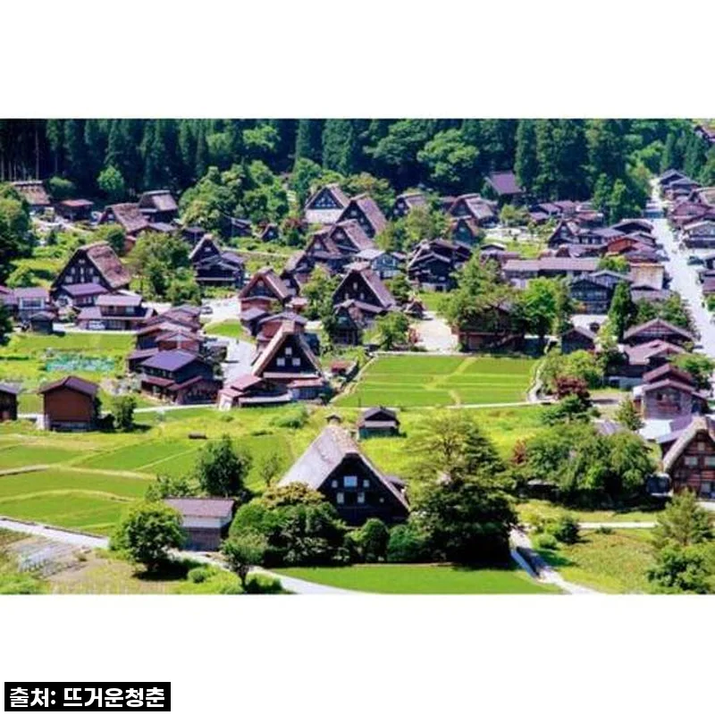 꿈같던 시간, 일본 가나자와 시라카와고 반나절 투어 직접 다녀온 후기!