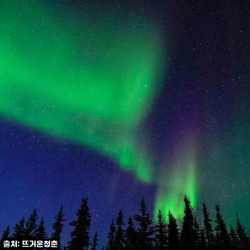 캐나다 옐로나이프 3박 4일 오로라 투어 & 시내 관광: 꿈을 현실로 만든 후기!