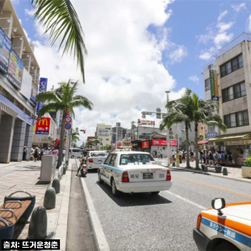 오키나와 가족여행? 나하 출발 알파 6인승 1일 투어, 제가 직접 경험해봤어요!