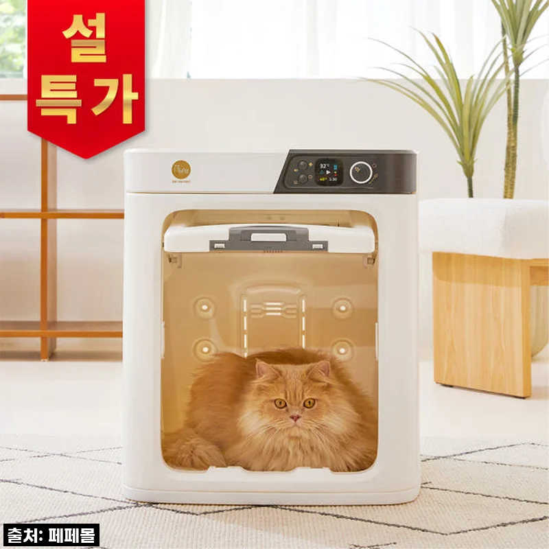 우리집 댕냥이 피부 지킴이! 페페 업그레이드 펫드라이룸 DR-100PRO 솔직 사용 후기