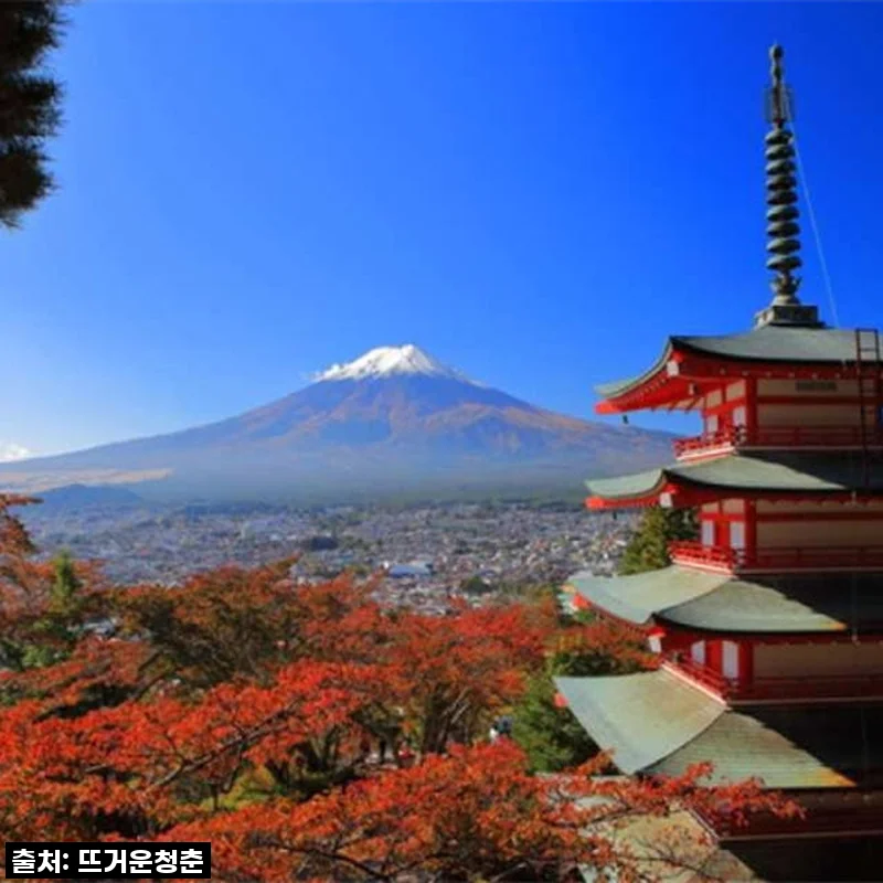 후지산 단풍, 꿈같은 풍경 속으로! "일본 1일 맞춤형 전세" 솔직 후기