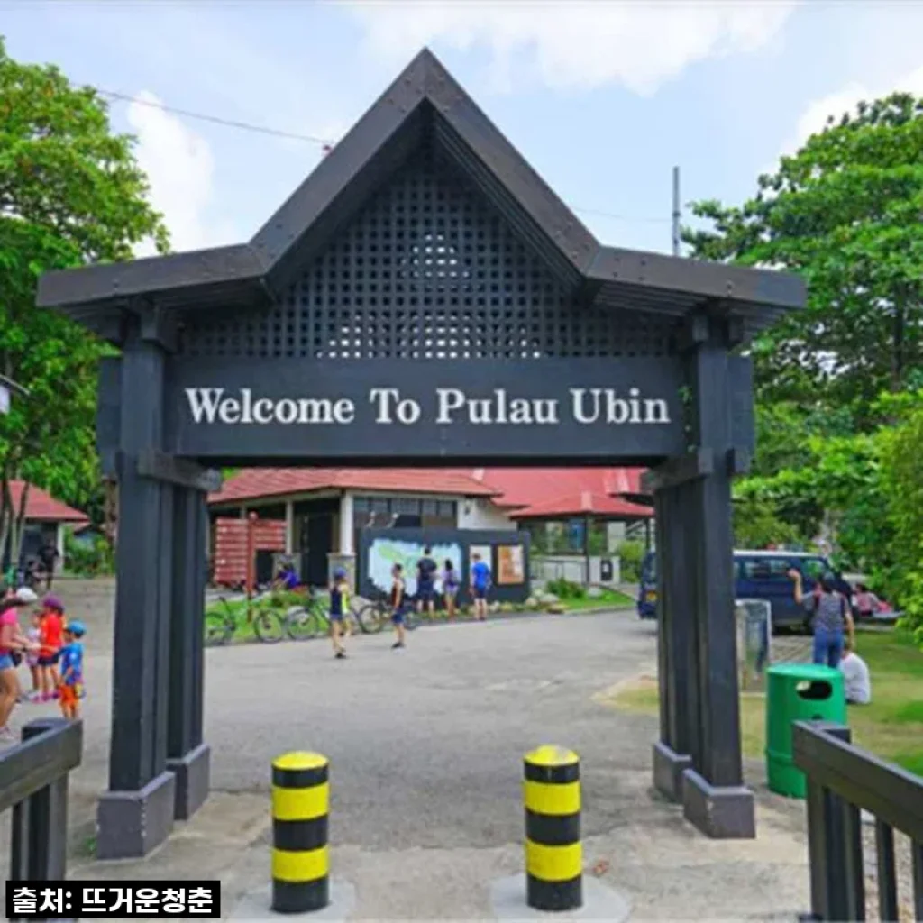 싱가포르 속 작은 보물섬, 풀라우 우빈 생태 모험! 왕복 교통편 포함 투어 솔직 후기