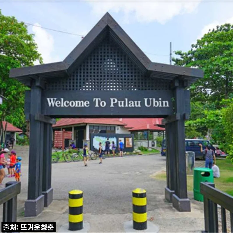 싱가포르 속 작은 보물섬, 풀라우 우빈 생태 모험! 왕복 교통편 포함 투어 솔직 후기