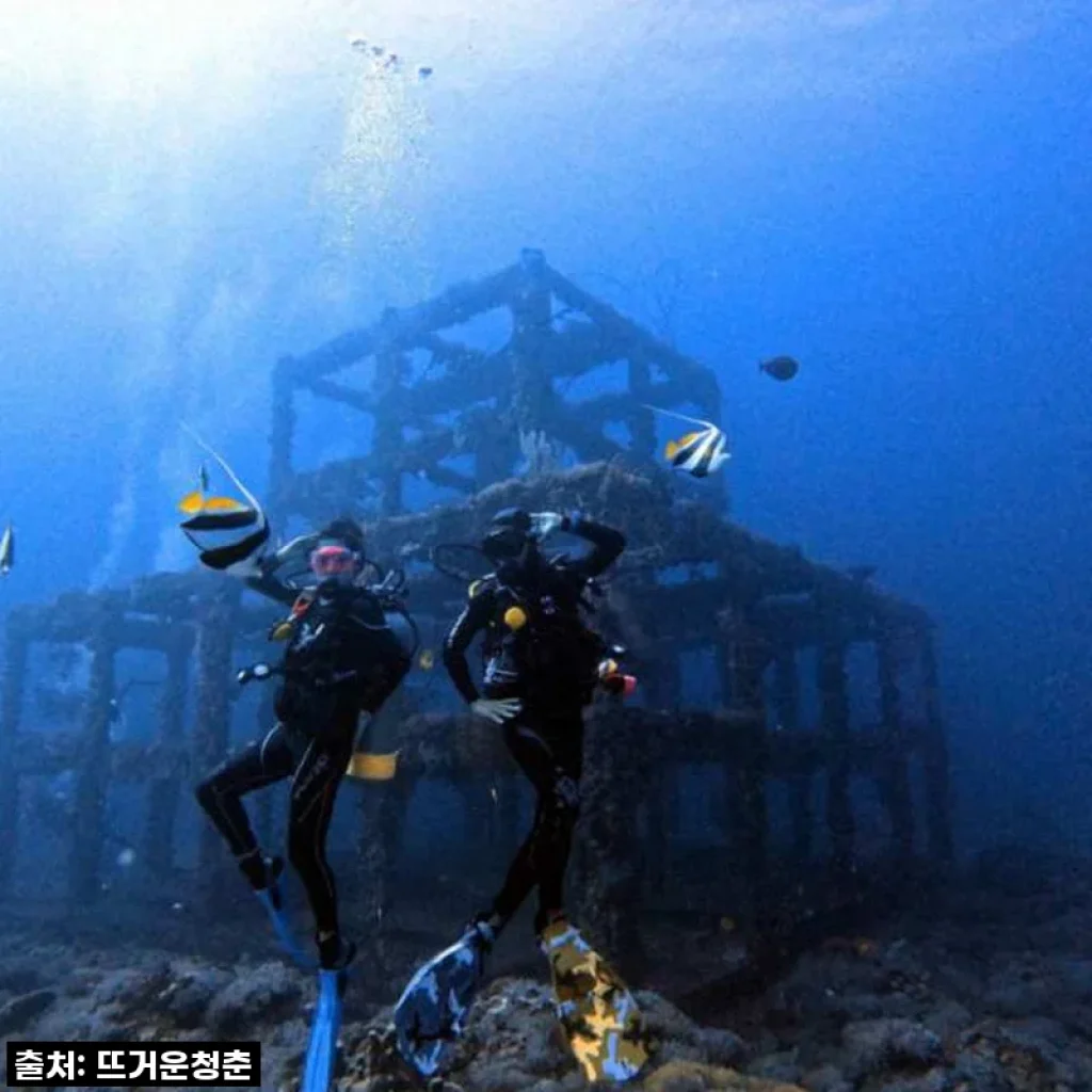 대만 뤼다오 그린 아일랜드 PADI AOW 자격증, 국내 무료배송으로 똑똑하게 준비하기!