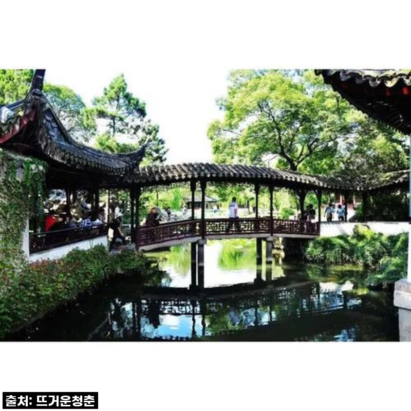 상하이 여행의 숨겨진 보석, 쑤저우 정원 프라이빗 투어 직접 경험해보니!