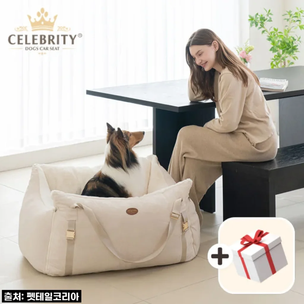 편안함과 안전을 동시에! 펫테일 셀러브리티 은나노 강아지 카시트 대형 L, 드디어 정착했어요!