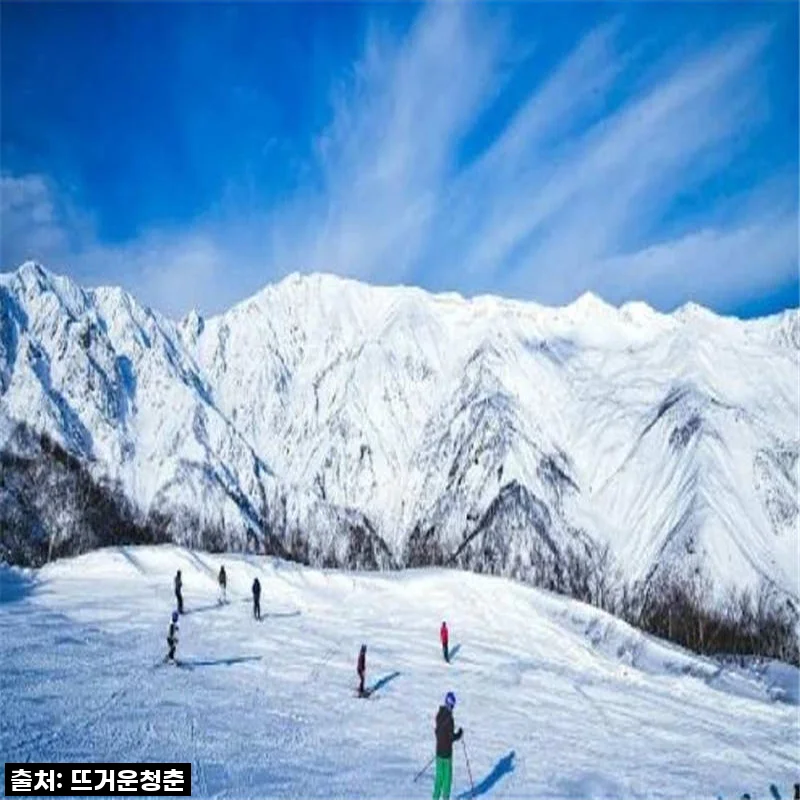 겨울왕국 제대로 즐기기! 일본 나가노 하쿠바 고류 스키 2일 여행 솔직 사용후기