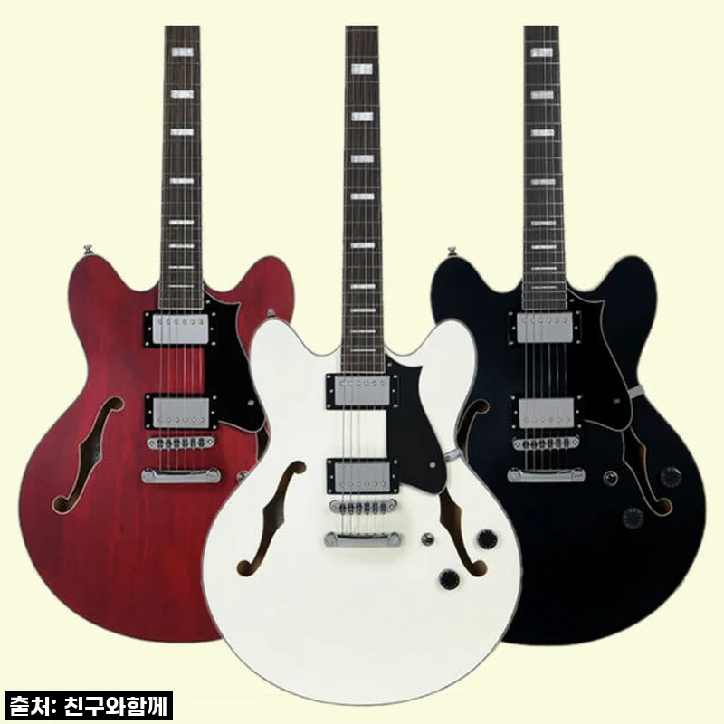 입문용 일렉기타의 새로운 기준! 헥스 Q300 세미할로우, 한 달 사용 솔직 후기