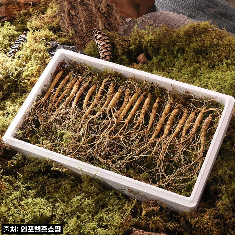 진삼애 강원도 산양삼 선물세트, 직접 먹어보니 이런 변화가! 솔직 후기