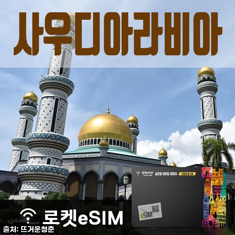 로켓eSIM 사우디아라비아 매일 2GB 무제한데이터 ND 70일 플랜 사용후기