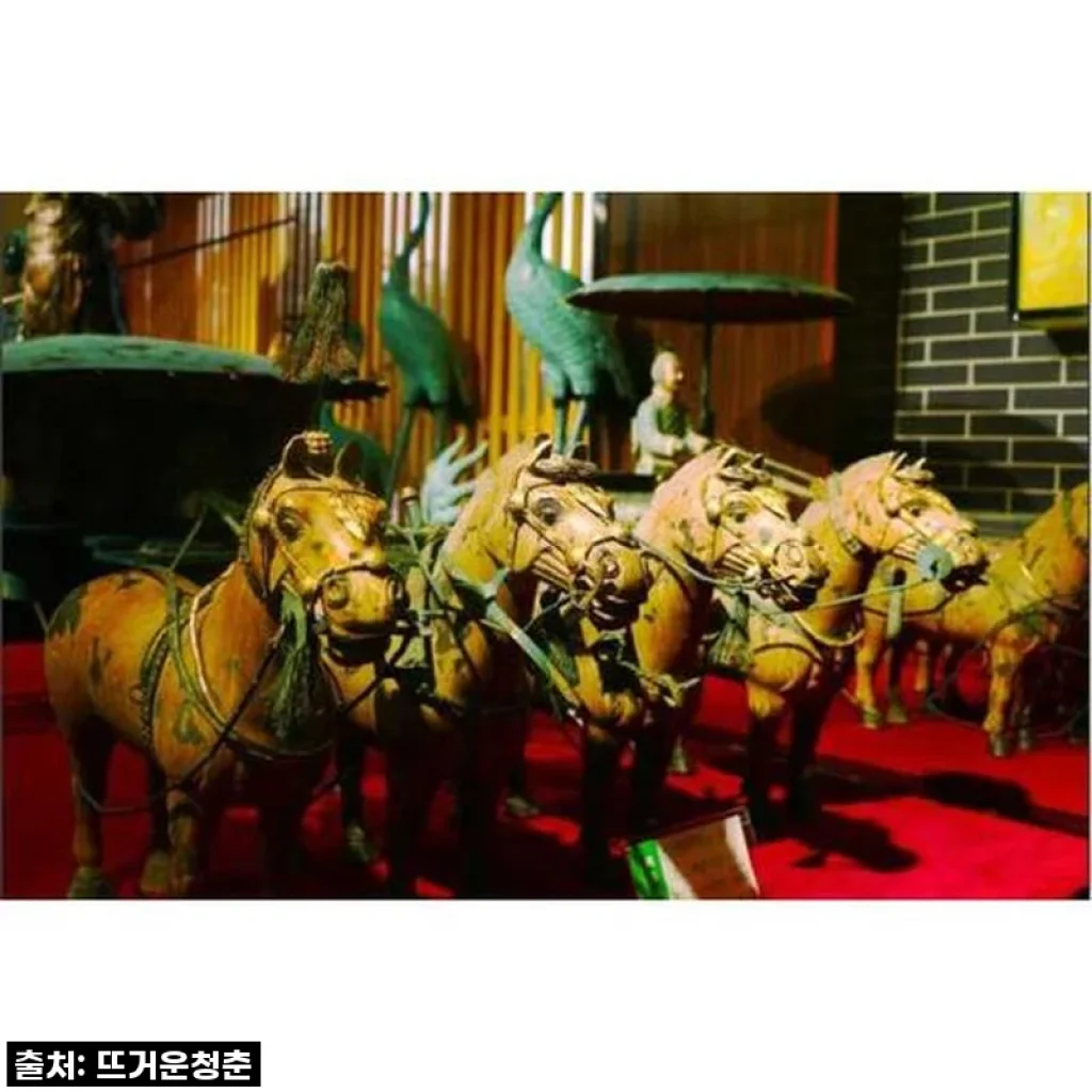 중국 산시성 시안 병마용 반포 박물관 옵션 프라이빗 투어 사용후기