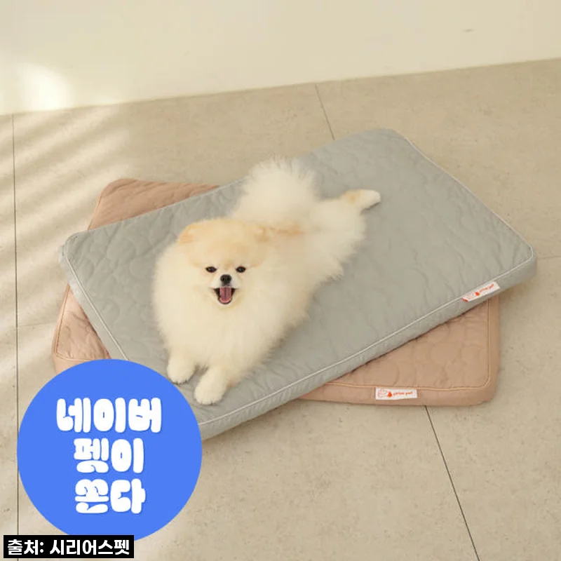 시리어스펫 슬개골 탄탄베드 사용후기: 우리 강아지에게 딱 맞는 슬개골 침대 매트리스