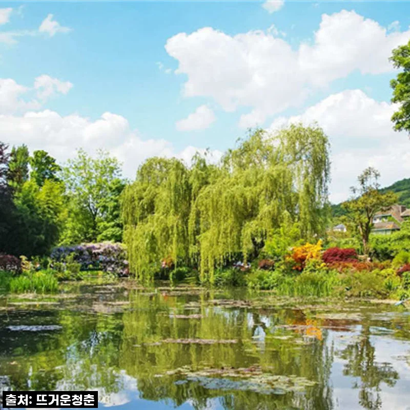 프랑스 파리 일일투어 : 클로드 모네 재단과 베르사유 궁전 후기