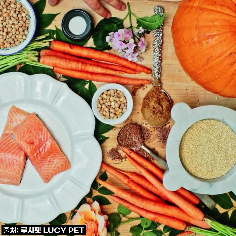 루시펫 강아지사료 연어 호박 퀴노아 11.3kg 라지바이트 사용후기