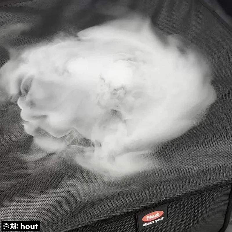 하웃 강아지 의자 해먹 캠핑 의자 메쉬 도그코트 사용후기