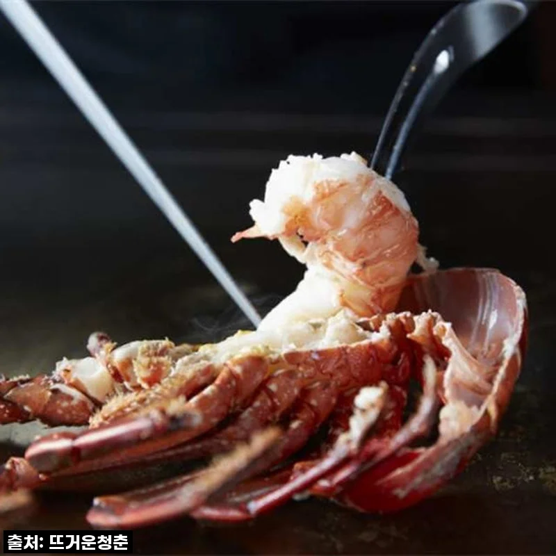 도쿄 미식 Teppanyaki Icho 그랜드 닛코 도쿄 다이바에서 만난 특별한 철판구이 경험