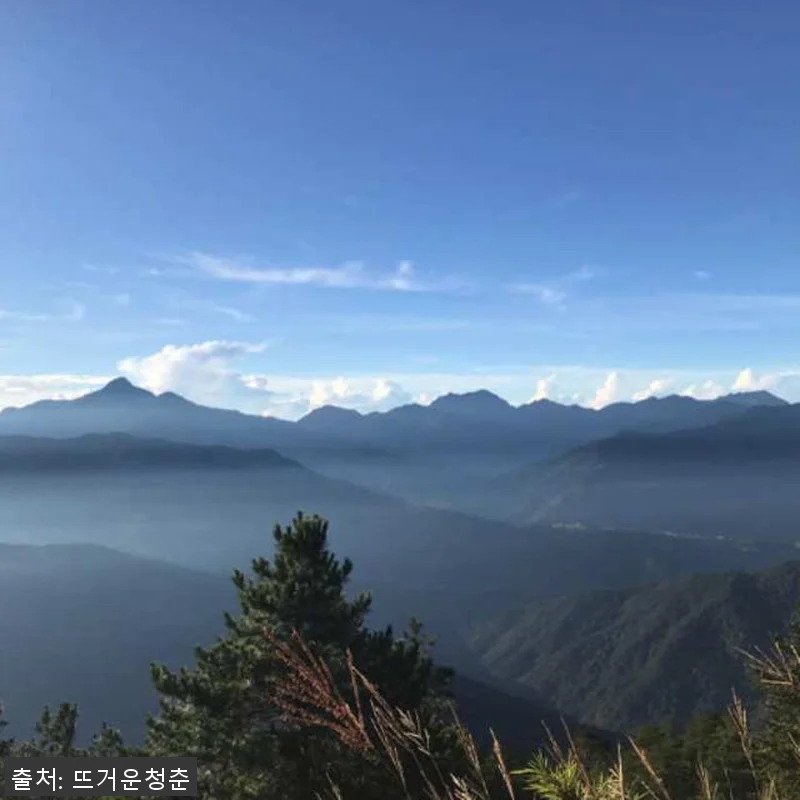 대만 Taichung Baiyue S 관련 이미지 1