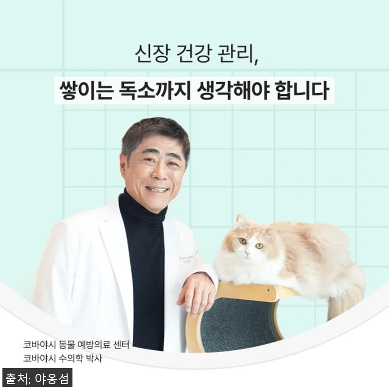 야옹섬 고양이 영양제 신장 유산균 프 관련 이미지 1