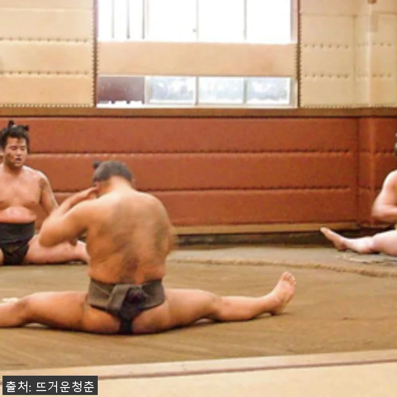 일본 도쿄 스모 훈련 참관 후기 &ndash; 관련 이미지 1