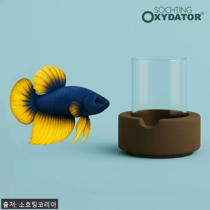 어항 산소공급기 옥시데이터 D 사용후 관련 이미지 1