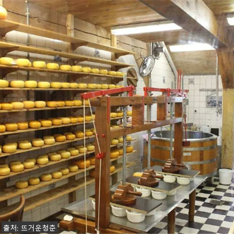 네덜란드 풍차마을 잔세스칸스&암스테르 관련 이미지 1