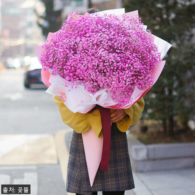 핑크 안개꽃다발 대형꽃다발 사용후기: 관련 이미지 1
