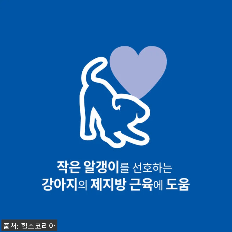 힐스 강아지사료 어덜트 스몰바이트 6 관련 이미지 1