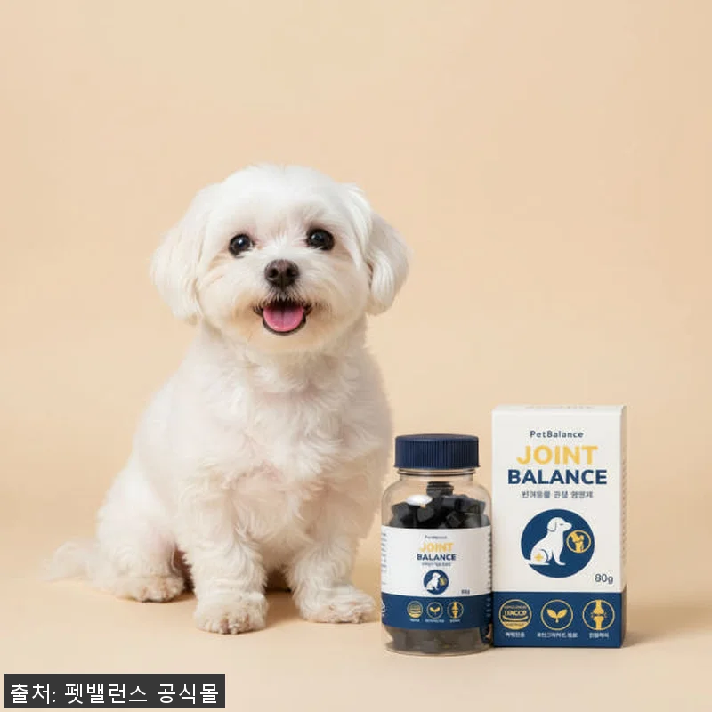 강아지 관절 슬개골 영양제 펫밸런스 관련 이미지 1