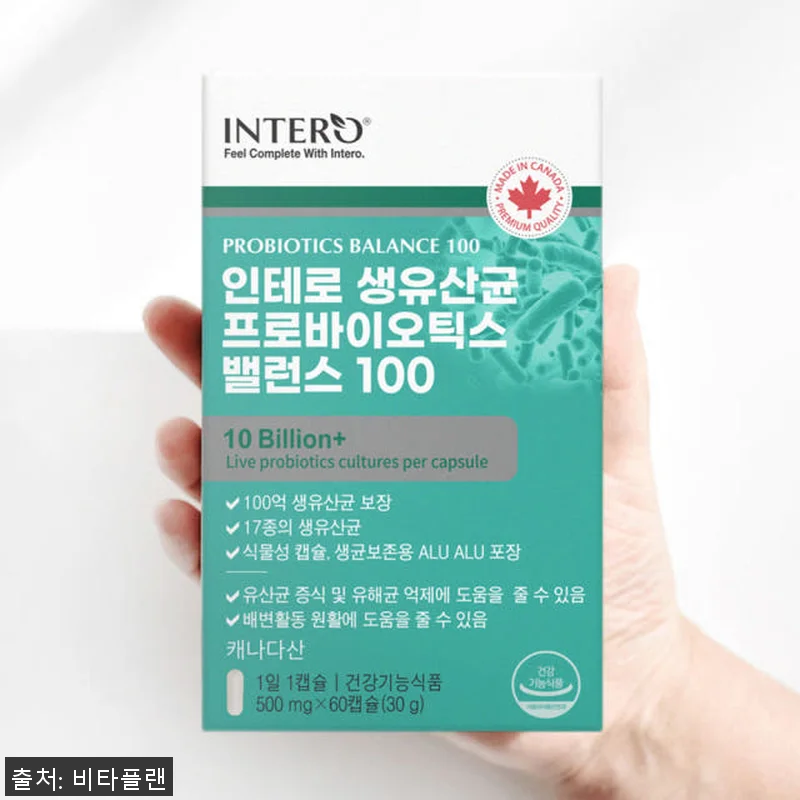 애시도필러스 람노서스 플란타럼 유산균 관련 이미지 1