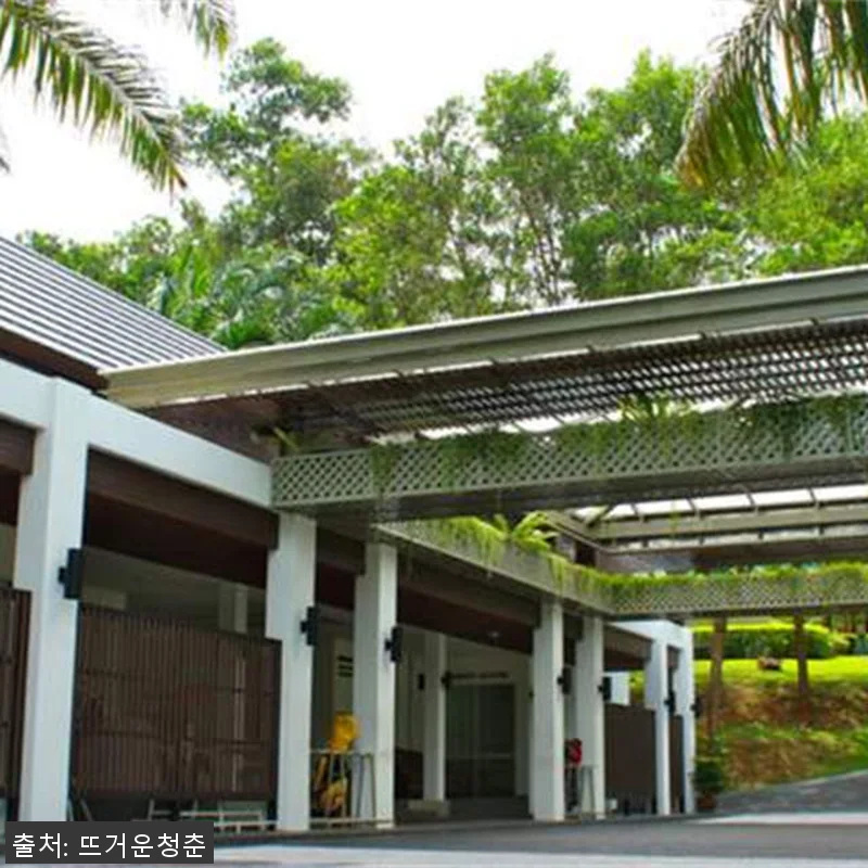 태국 푸켓 로크 팜 클럽 골프 체험 관련 이미지 1