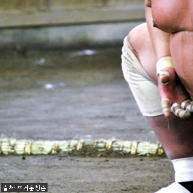 일본 도쿄 스모 훈련 참관 후기 &ndash; 관련 이미지 2