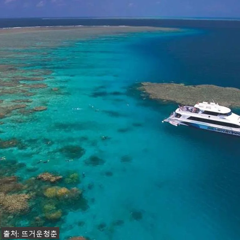 호주 케언즈 실버소닉 크루즈 다이브 관련 이미지 2