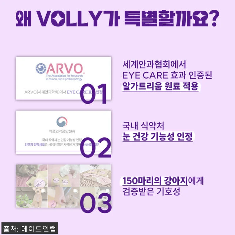 강아지 눈 건강을 위한 볼리 알가트리 관련 이미지 2