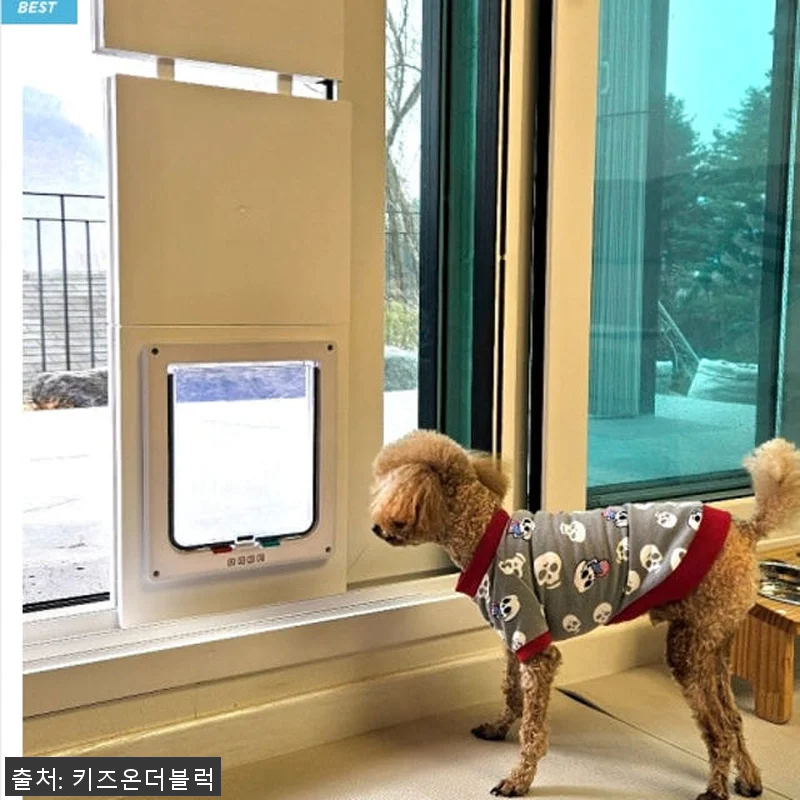 키즈온더블럭 펫도어 견문 사용 후기 관련 이미지 2