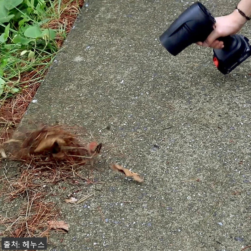 헤누스 터보건 무선 송풍기 낙엽청소기 관련 이미지 2