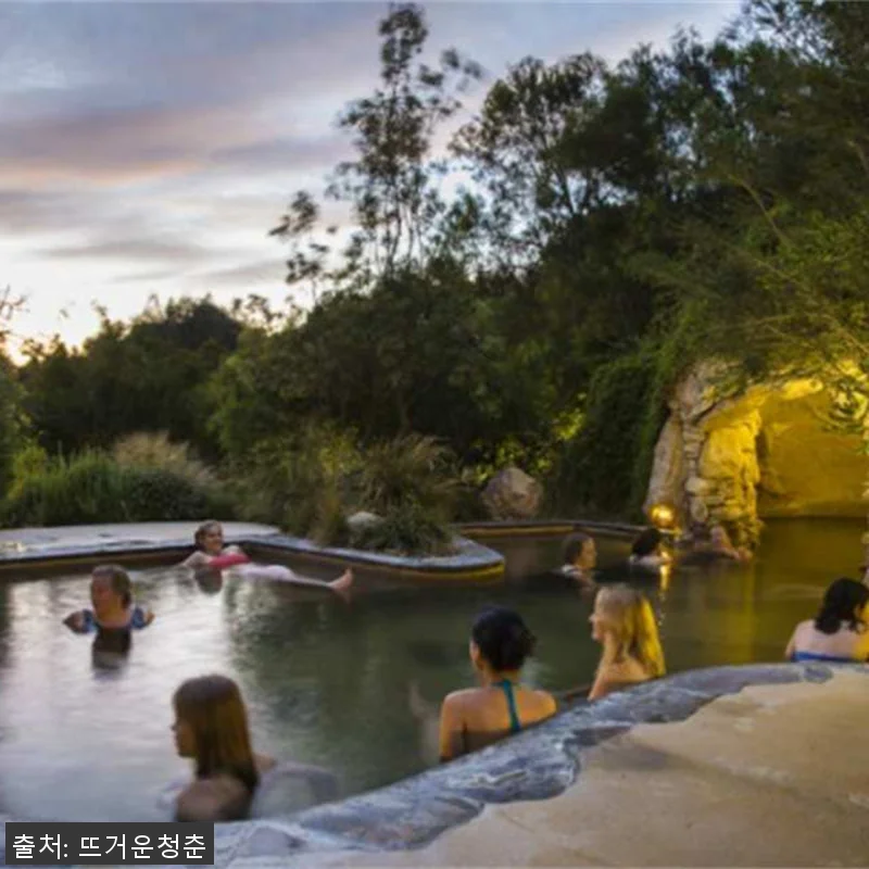 호주 멜버른 퍼핑빌리 & 모닝턴 페닌 관련 이미지 2