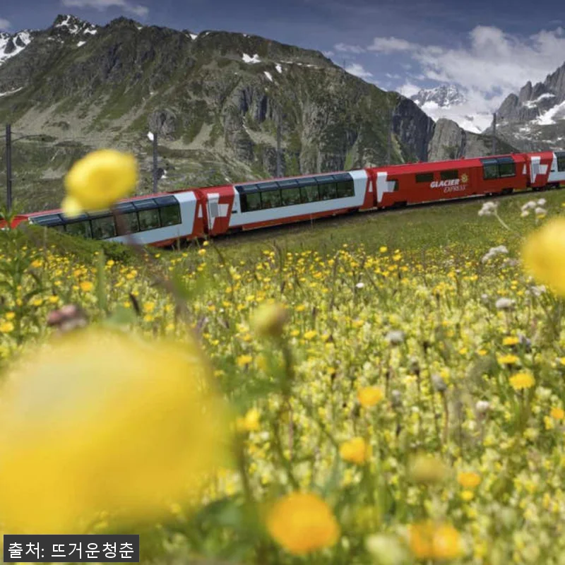 스위스 반액 카드｜E-티켓 실제 사용 관련 이미지 2