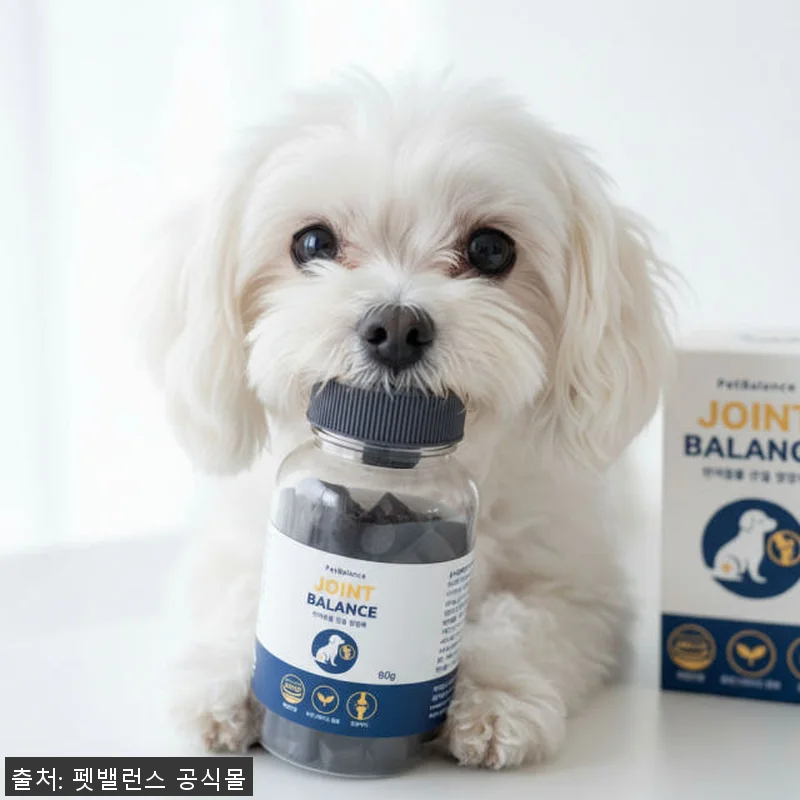 강아지 관절 슬개골 영양제 펫밸런스 관련 이미지 2