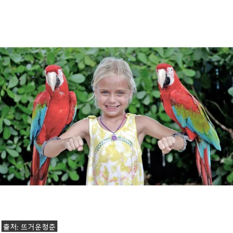 미국 플로리다 올랜도 고시티 올인클루 관련 이미지 2