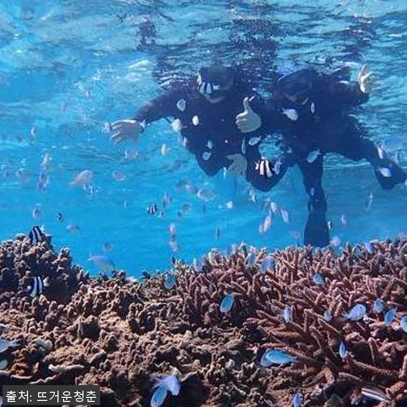 일본 미야코지마 일일 어드벤처 체험 관련 이미지 2