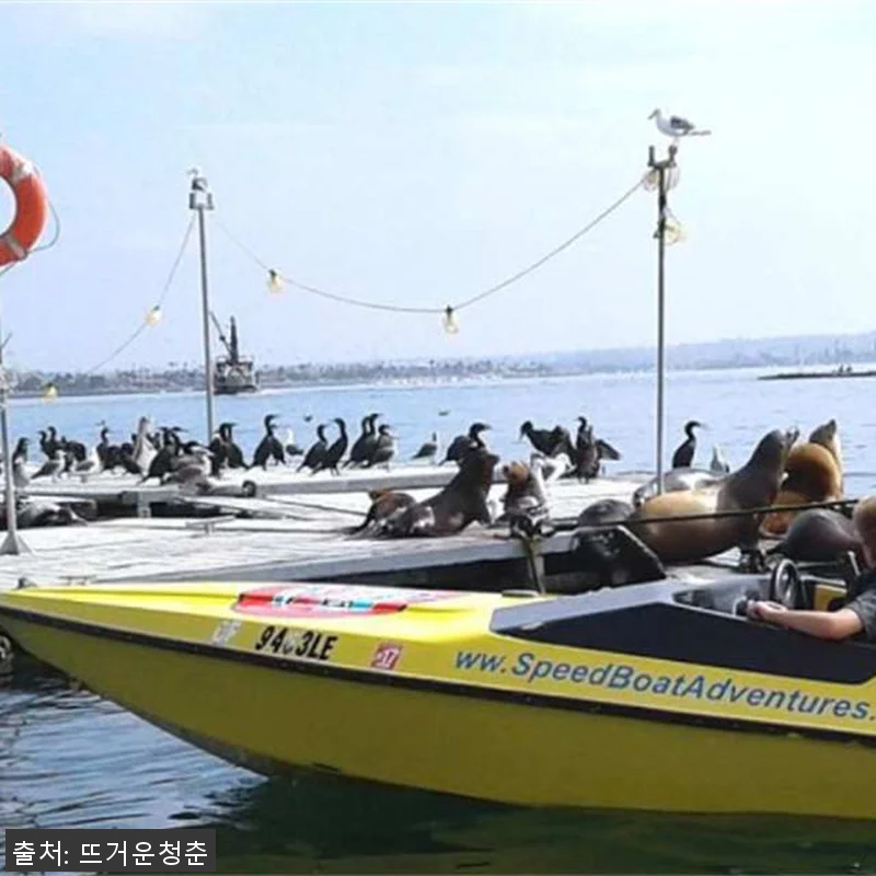 샌디에이고 스피드 보트 가이드 어드벤 관련 이미지 2