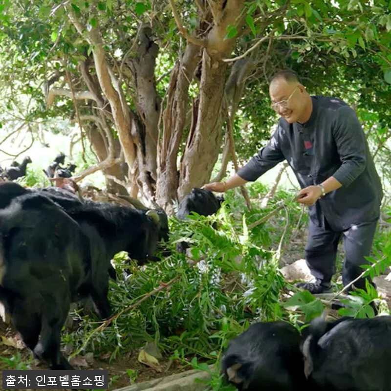 홍성호 울릉도 마가목 흑염소진액 60 관련 이미지 2